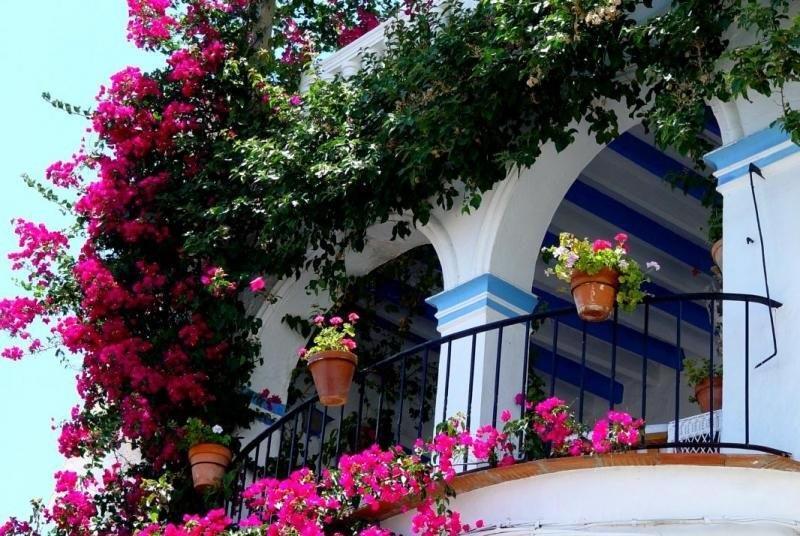 Pension El Torreon Mojacar Exterior photo